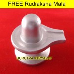 101 Gram Parad Shivalinga 